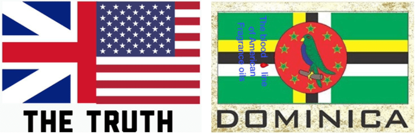 American and pride flags side by side.