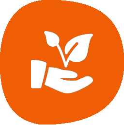 Hand holding a sprouting plant on an orange background.